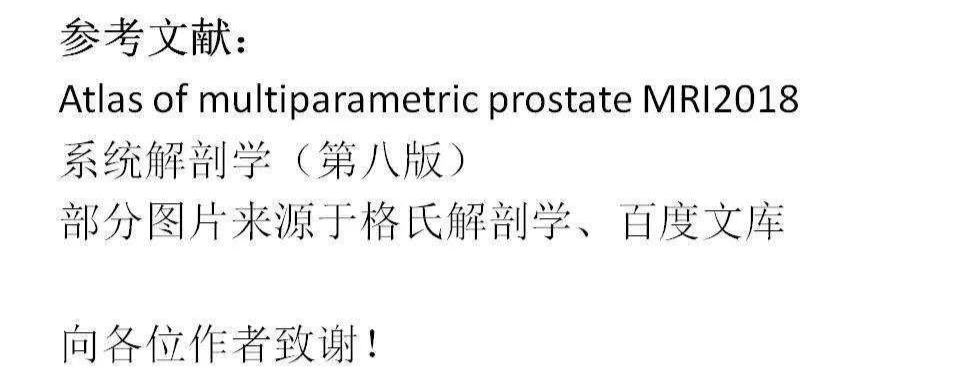 影像PPT - 【PPT】前列腺的解剖和功能-67