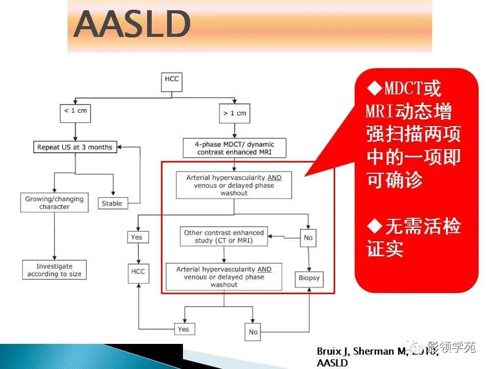 影像PPT - 【PPT】HCC影像诊断进展-63