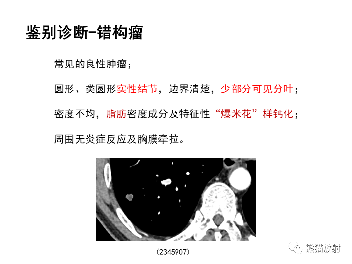 影像PPT - 【病例】肺泡性腺瘤VS原位腺癌-30