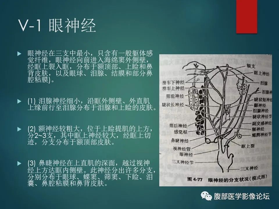 影像PPT - 【PPT】三叉孔道弯弯绕-7 影像PPT - 【PPT】三叉孔道弯弯绕-7