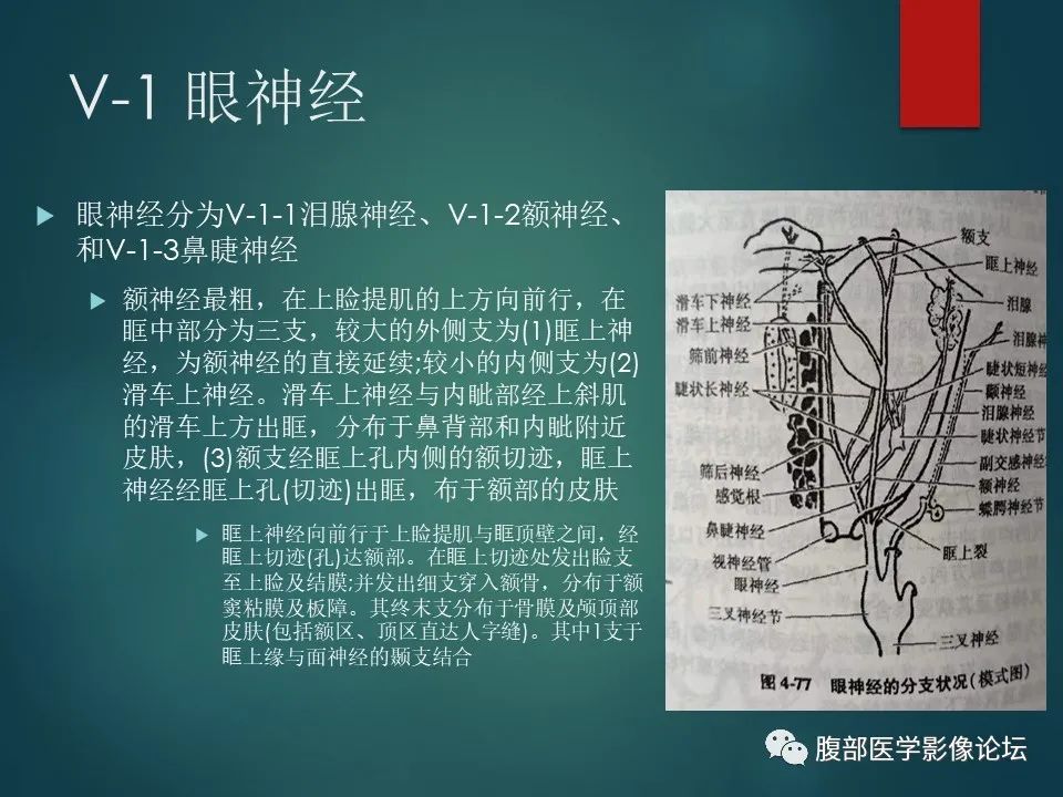 影像PPT - 【PPT】三叉孔道弯弯绕-8 影像PPT - 【PPT】三叉孔道弯弯绕-8