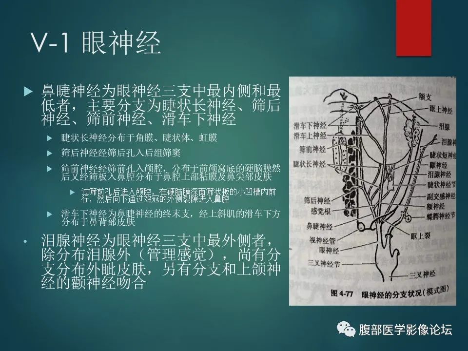 影像PPT - 【PPT】三叉孔道弯弯绕-9 影像PPT - 【PPT】三叉孔道弯弯绕-9