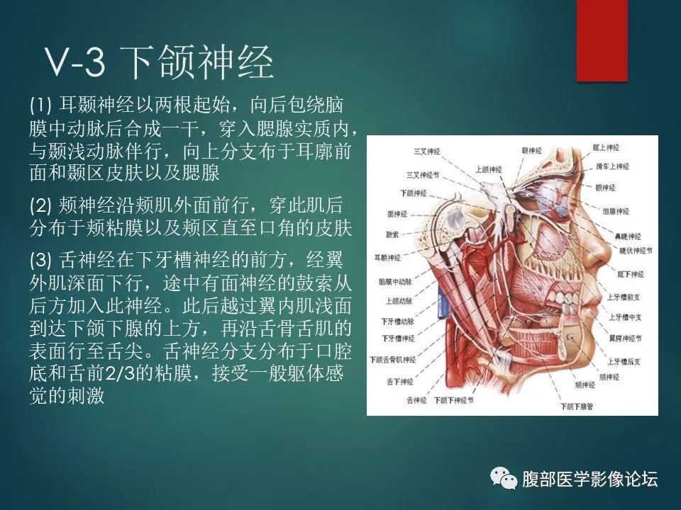 影像PPT - 【PPT】三叉孔道弯弯绕-19 影像PPT - 【PPT】三叉孔道弯弯绕-19