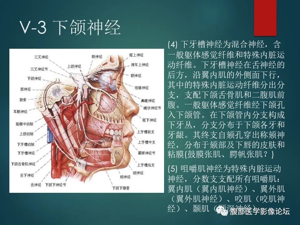 影像PPT - 【PPT】三叉孔道弯弯绕-20 影像PPT - 【PPT】三叉孔道弯弯绕-20