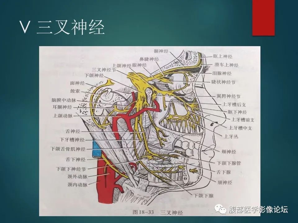 影像PPT - 【PPT】三叉孔道弯弯绕-23 影像PPT - 【PPT】三叉孔道弯弯绕-23