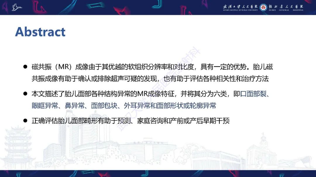 影像PPT - 【PPT】胎儿面部畸形MR诊断-3