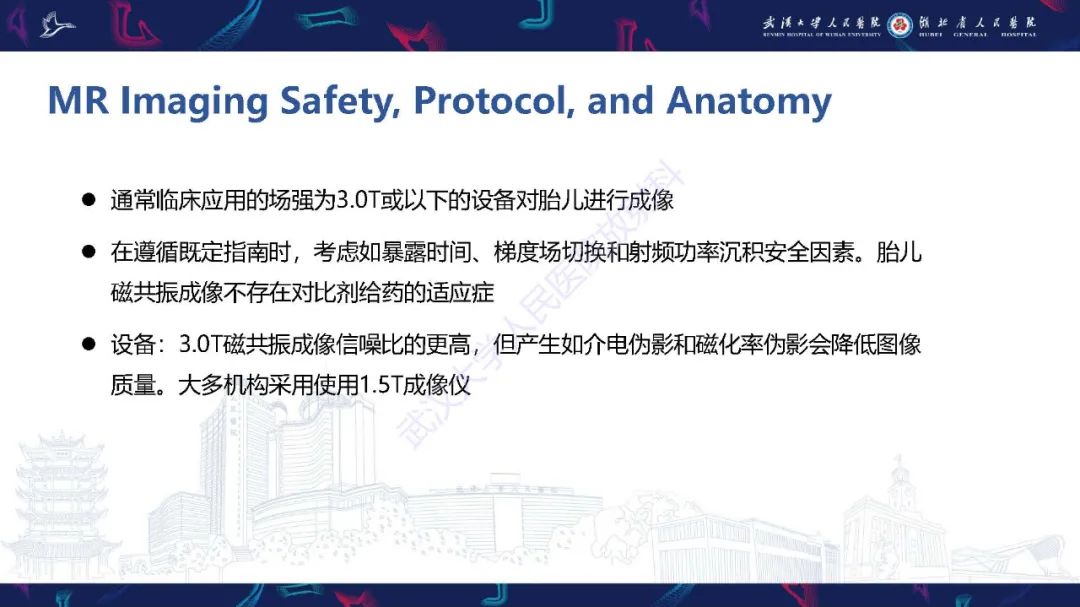 影像PPT - 【PPT】胎儿面部畸形MR诊断-4