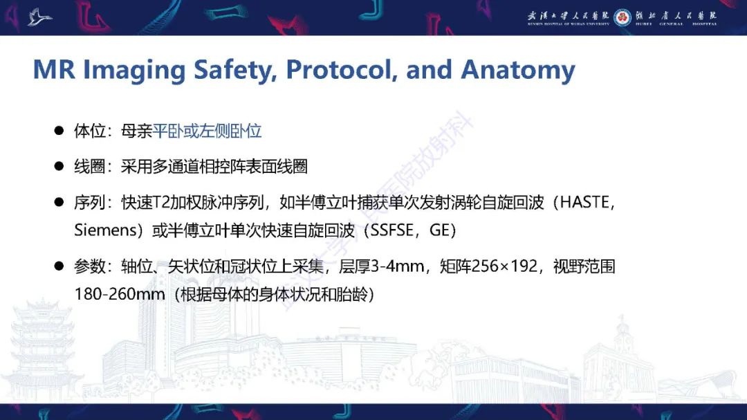 影像PPT - 【PPT】胎儿面部畸形MR诊断-5