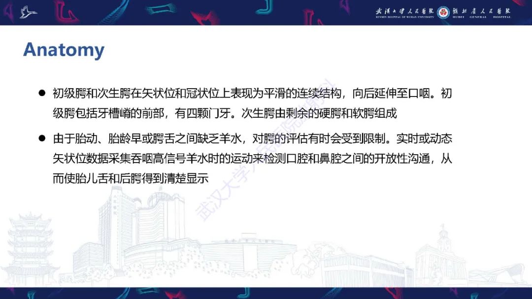 影像PPT - 【PPT】胎儿面部畸形MR诊断-7