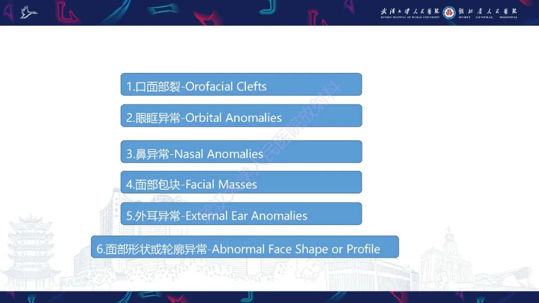 影像PPT - 【PPT】胎儿面部畸形MR诊断-9