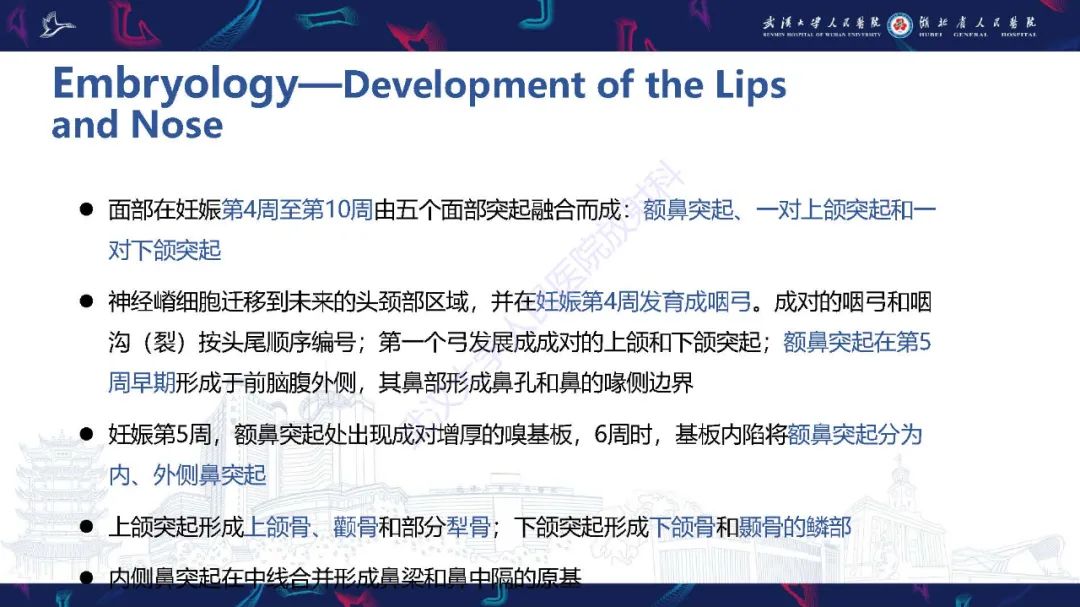 影像PPT - 【PPT】胎儿面部畸形MR诊断-10