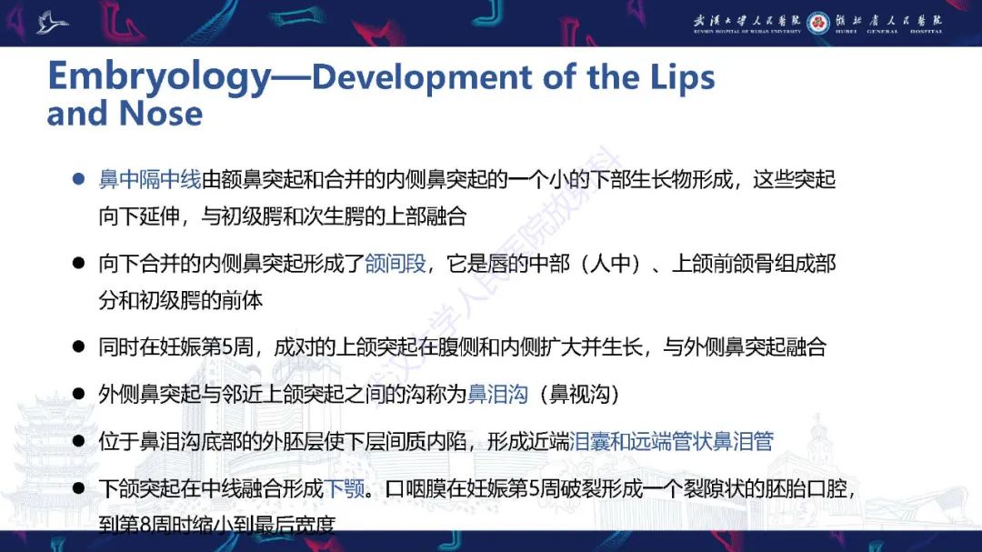 影像PPT - 【PPT】胎儿面部畸形MR诊断-11