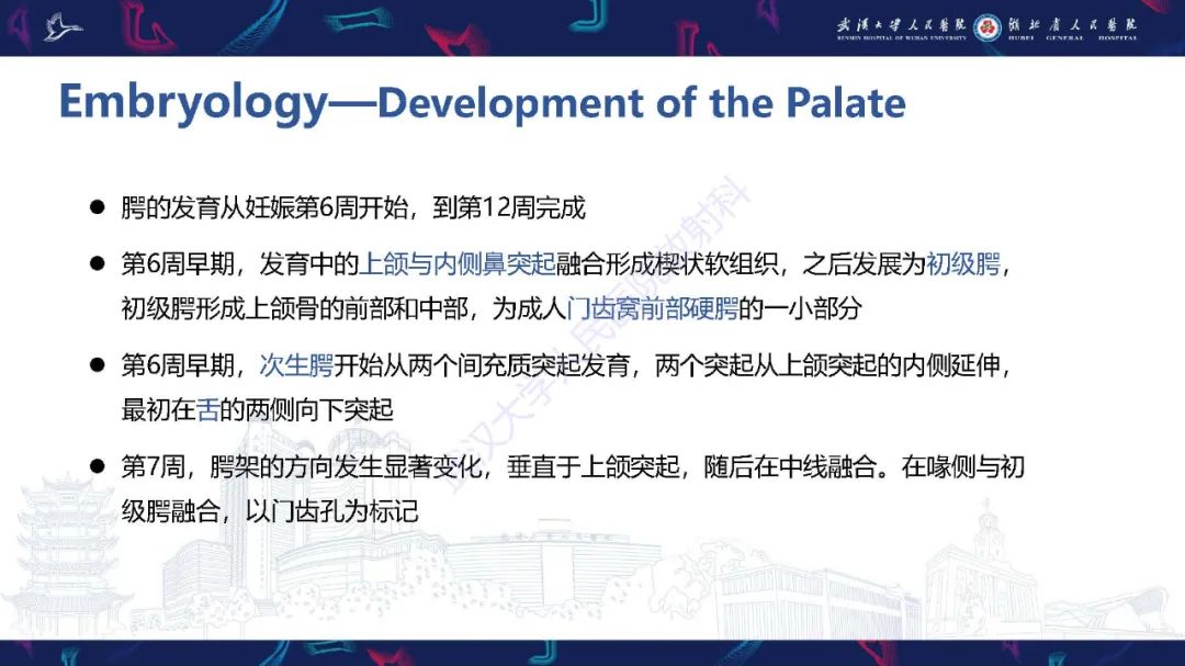 影像PPT - 【PPT】胎儿面部畸形MR诊断-14