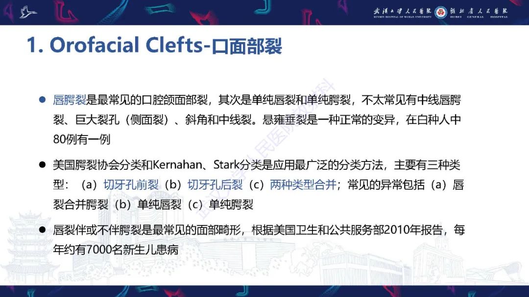 影像PPT - 【PPT】胎儿面部畸形MR诊断-16