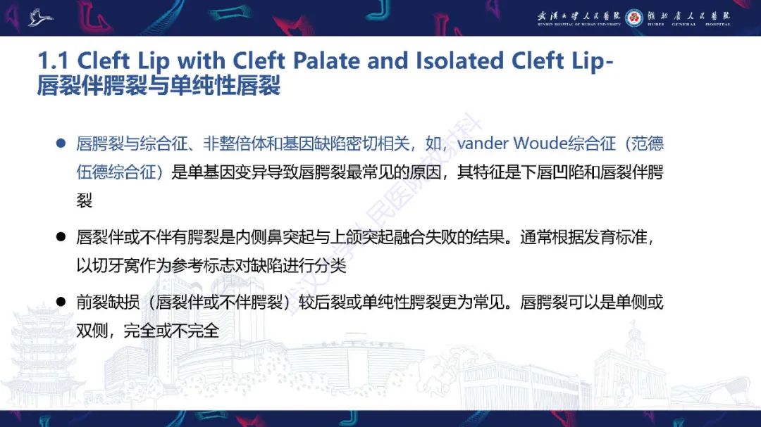 影像PPT - 【PPT】胎儿面部畸形MR诊断-17