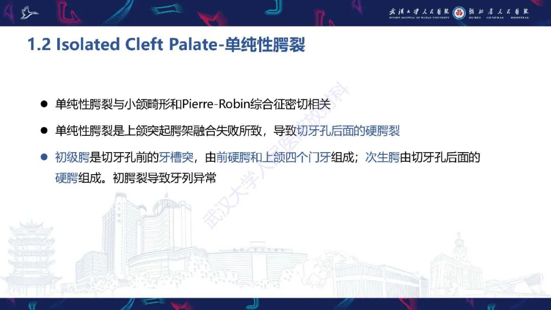 影像PPT - 【PPT】胎儿面部畸形MR诊断-21