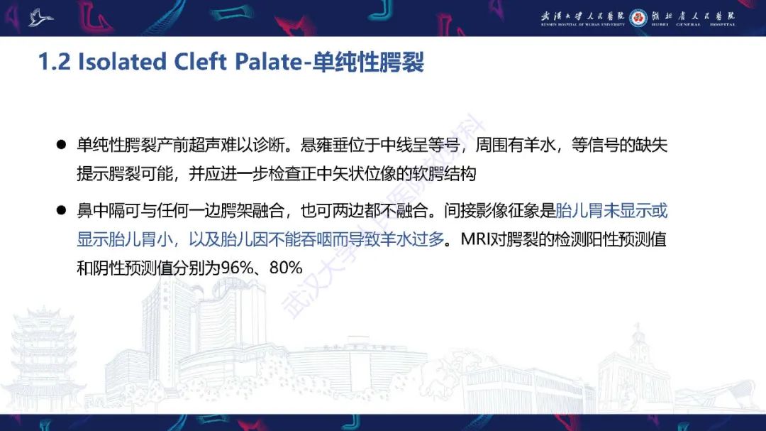 影像PPT - 【PPT】胎儿面部畸形MR诊断-22
