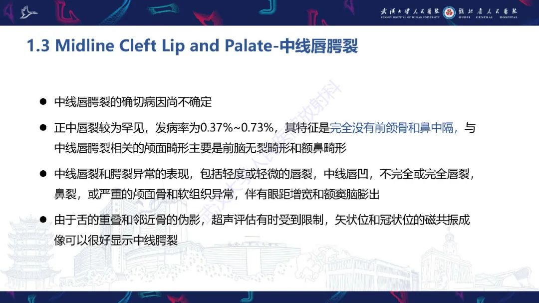 影像PPT - 【PPT】胎儿面部畸形MR诊断-24