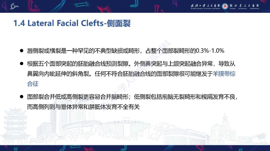 影像PPT - 【PPT】胎儿面部畸形MR诊断-26