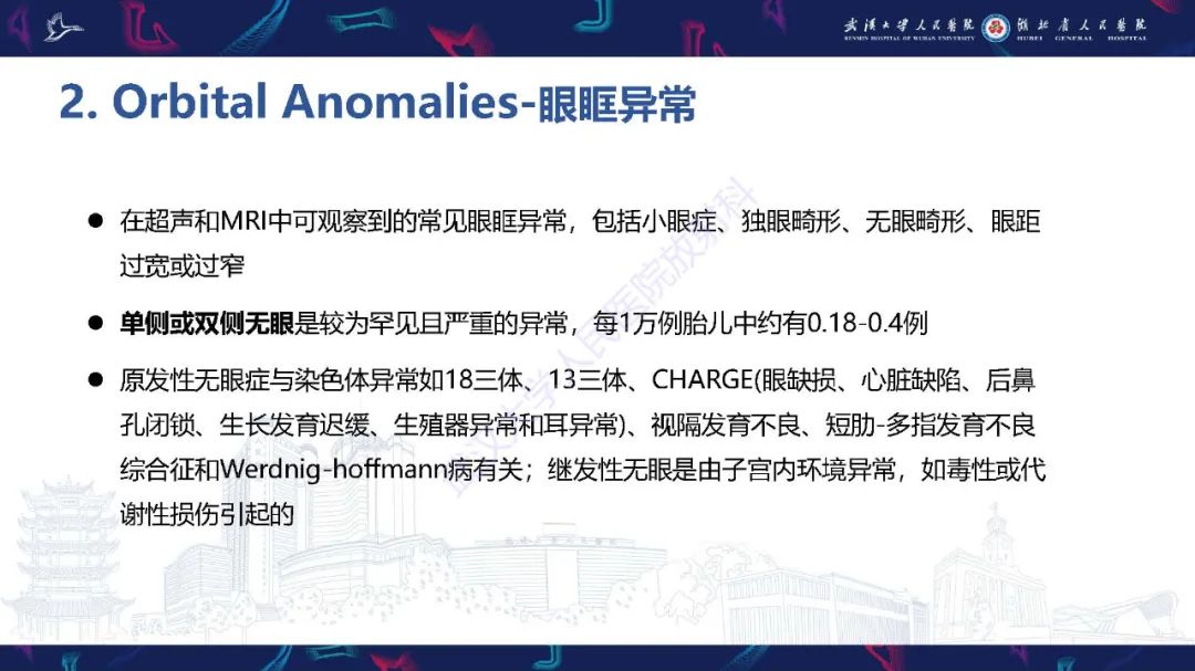影像PPT - 【PPT】胎儿面部畸形MR诊断-29