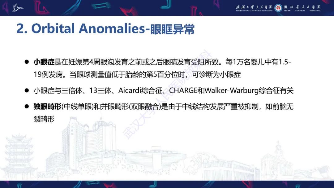 影像PPT - 【PPT】胎儿面部畸形MR诊断-30