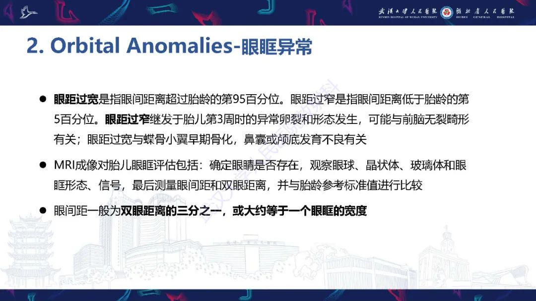 影像PPT - 【PPT】胎儿面部畸形MR诊断-32