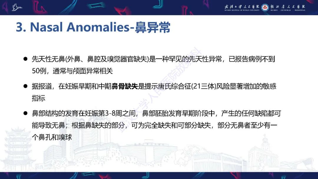 影像PPT - 【PPT】胎儿面部畸形MR诊断-34