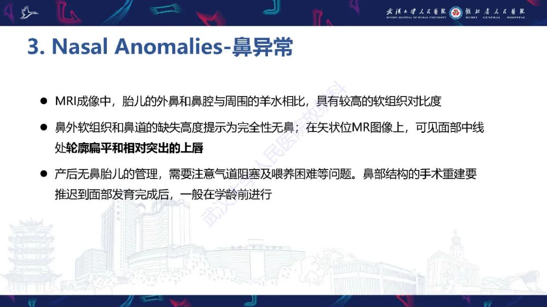 影像PPT - 【PPT】胎儿面部畸形MR诊断-35