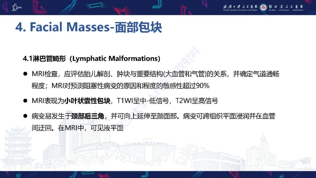 影像PPT - 【PPT】胎儿面部畸形MR诊断-38