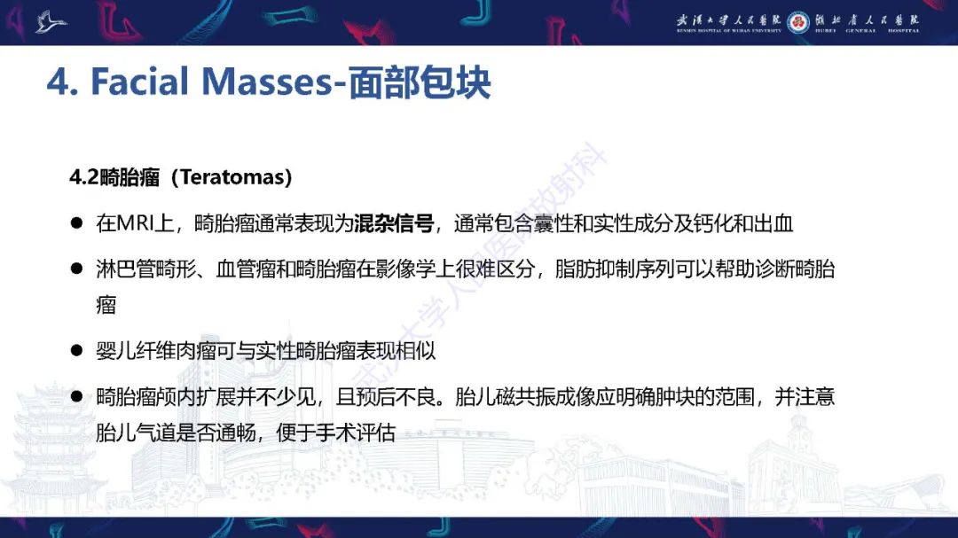 影像PPT - 【PPT】胎儿面部畸形MR诊断-41