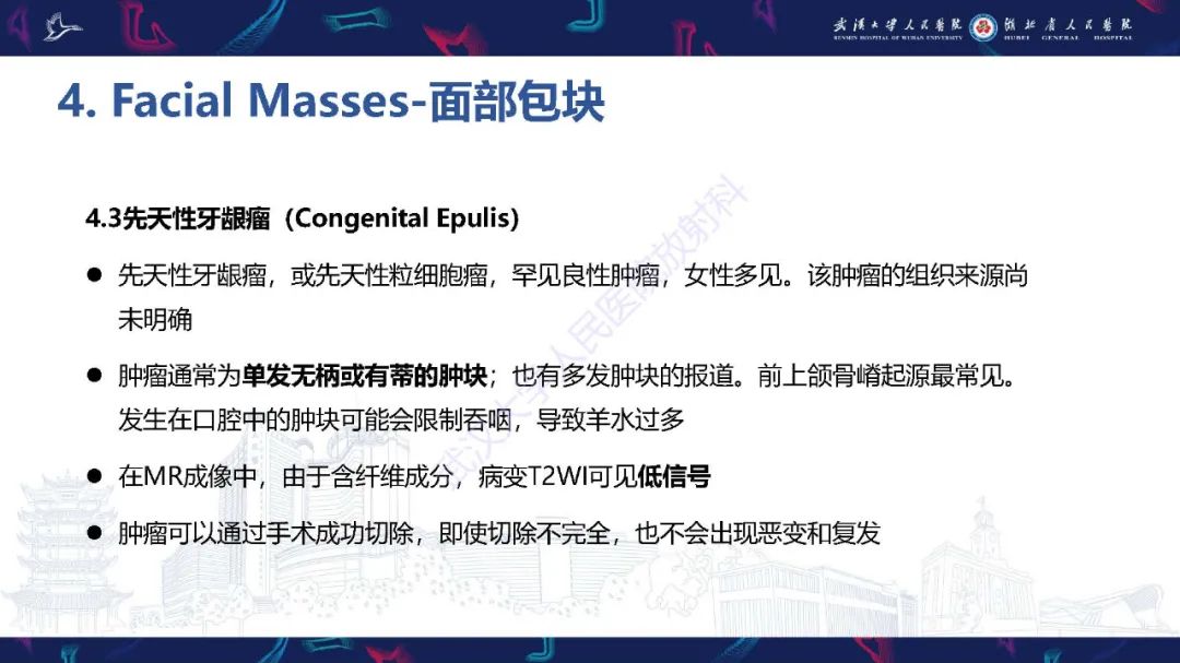 影像PPT - 【PPT】胎儿面部畸形MR诊断-42