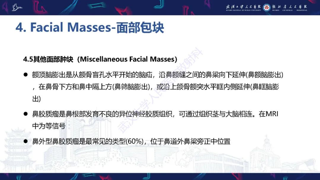 影像PPT - 【PPT】胎儿面部畸形MR诊断-45