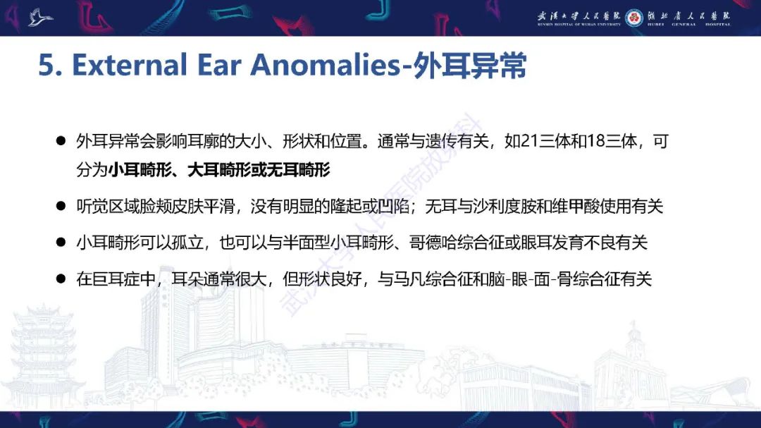 影像PPT - 【PPT】胎儿面部畸形MR诊断-46