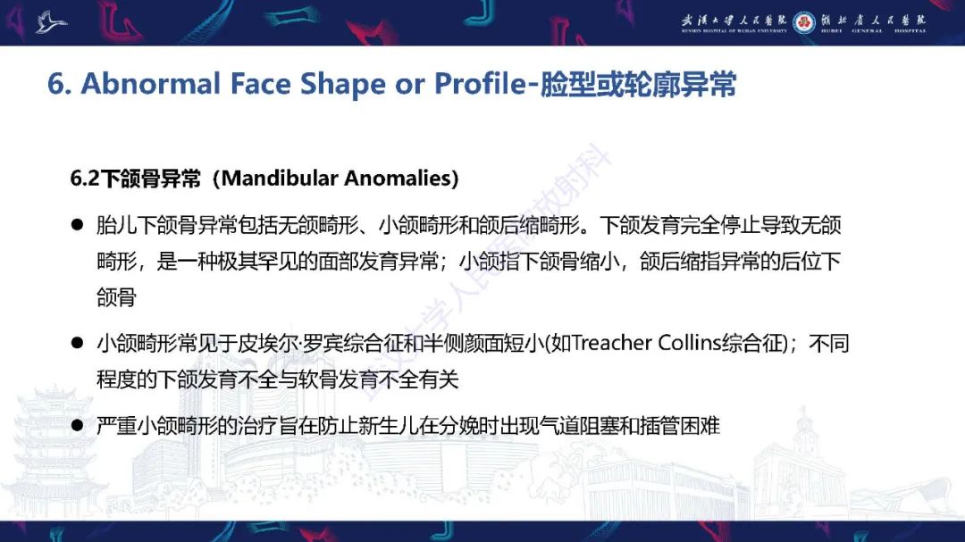 影像PPT - 【PPT】胎儿面部畸形MR诊断-50