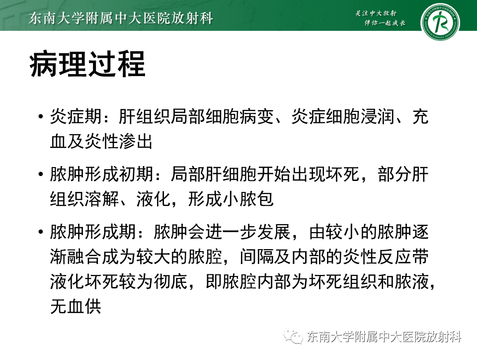影像PPT - 【病例】细菌性肝脓肿1例CT影像-7