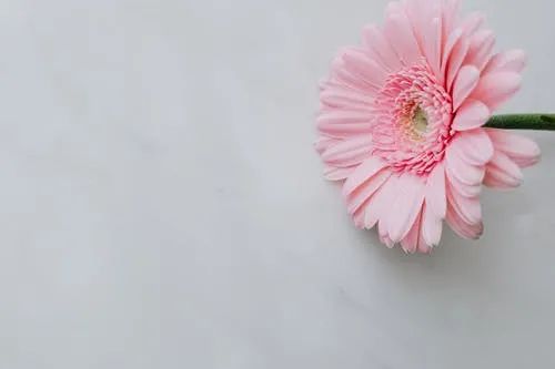 影像PPT - 【病例】淋巴瘤肺浸润1例CT影像讨论-11 影像PPT - 【病例】淋巴瘤肺浸润1例CT影像讨论-11