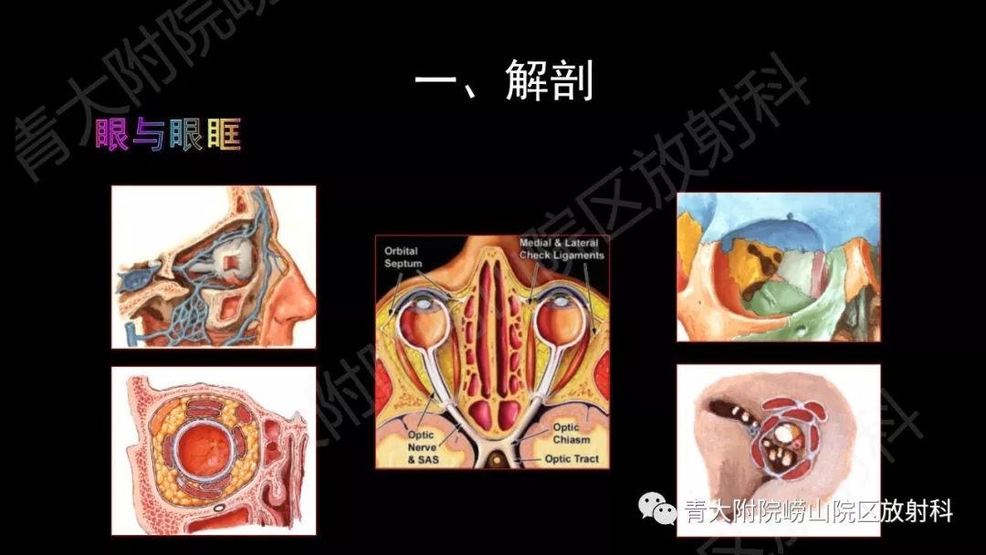 影像PPT - 【PPT】头颈部影像检查报告规范-6