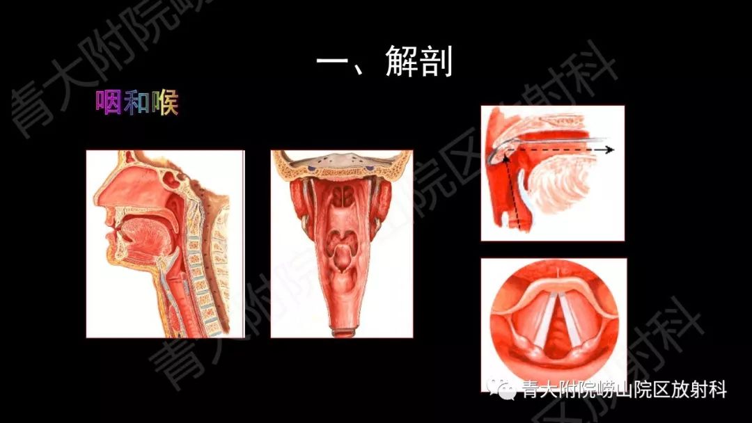 影像PPT - 【PPT】头颈部影像检查报告规范-8