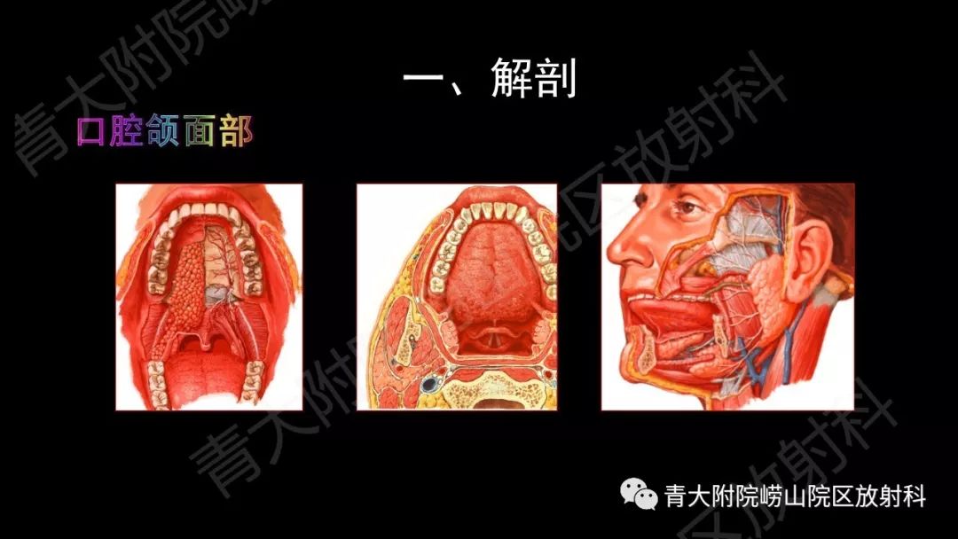 影像PPT - 【PPT】头颈部影像检查报告规范-9