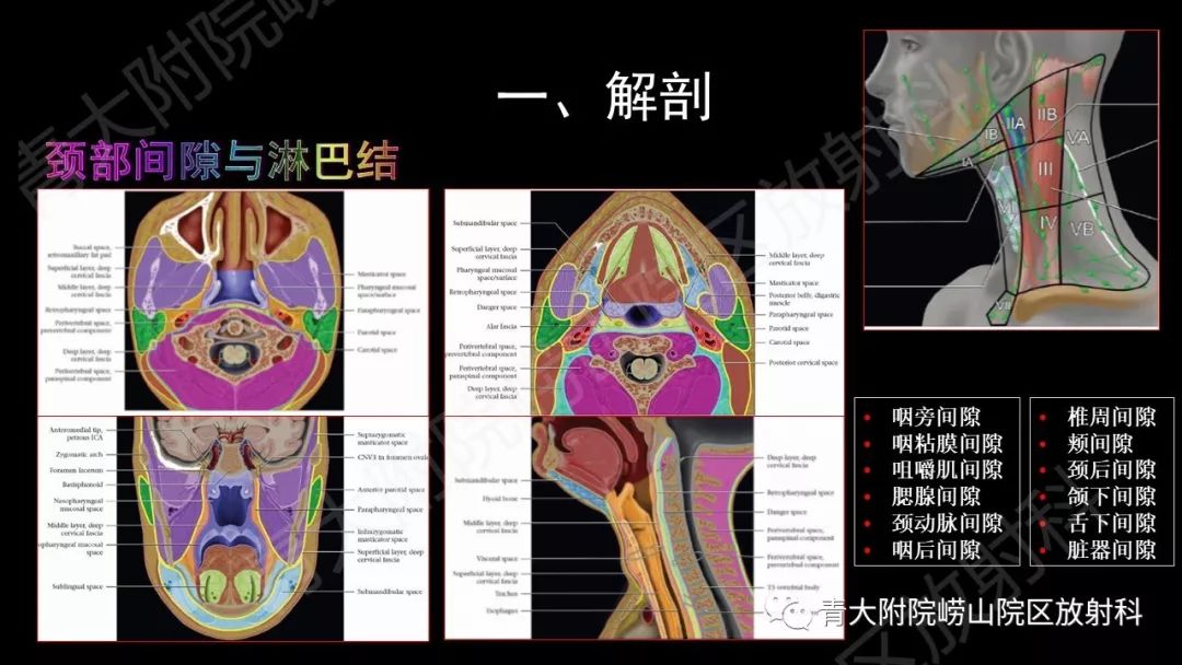 影像PPT - 【PPT】头颈部影像检查报告规范-10