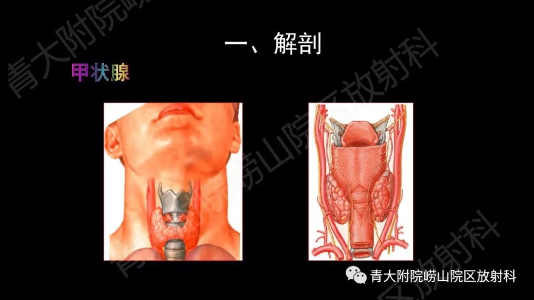影像PPT - 【PPT】头颈部影像检查报告规范-11