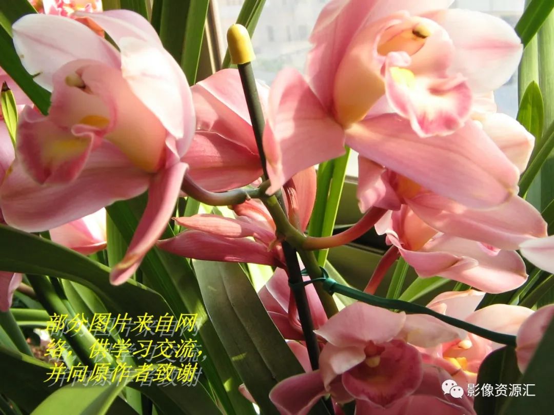 影像PPT - 【PPT】肾癌的CT MRI诊断-129