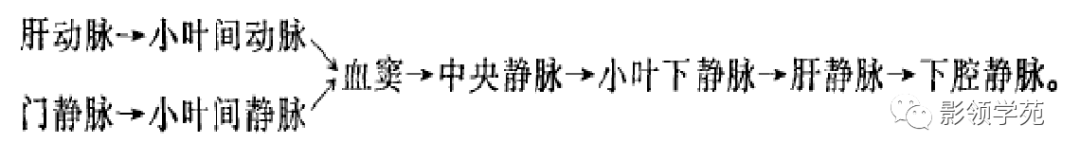 影像PPT - 肝脏的表面解剖及分叶分段-16