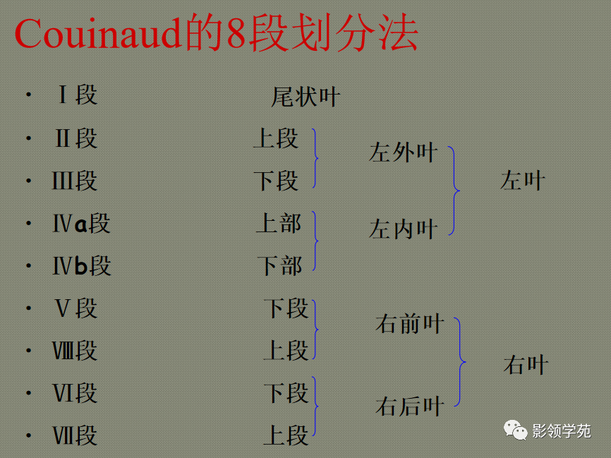 影像PPT - 肝脏的表面解剖及分叶分段-19