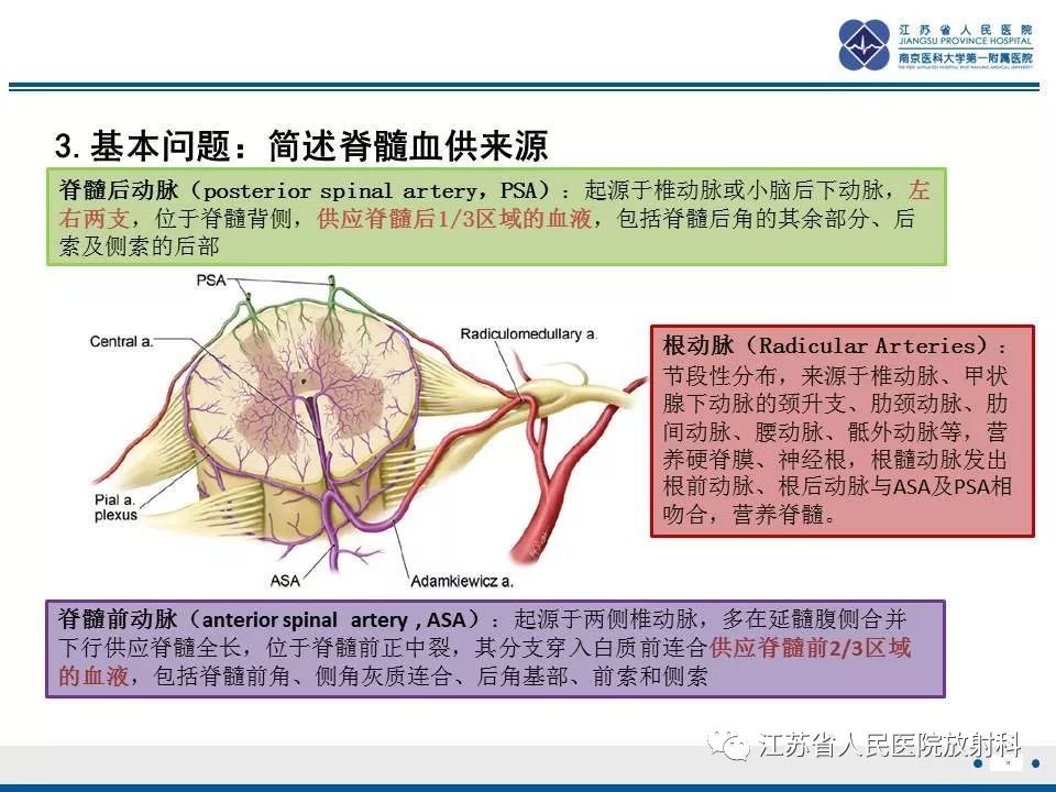 影像PPT - 【病例】脊髓梗死—脊髓前动脉综合征1例MR-13