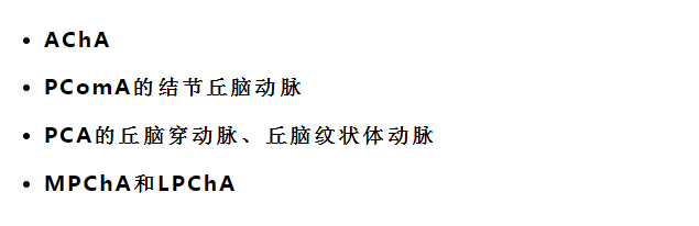 影像PPT - 重要神经结构的血供示意图-1 影像PPT - 重要神经结构的血供示意图-1