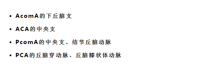 影像PPT - 重要神经结构的血供示意图-5 影像PPT - 重要神经结构的血供示意图-5