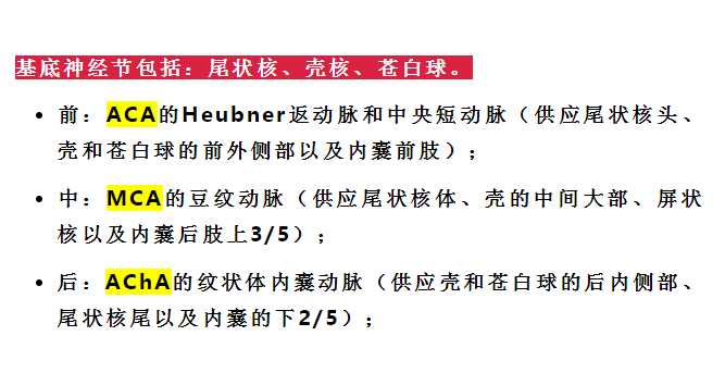 影像PPT - 重要神经结构的血供示意图-7 影像PPT - 重要神经结构的血供示意图-7