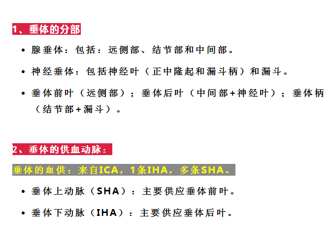 影像PPT - 重要神经结构的血供示意图-10 影像PPT - 重要神经结构的血供示意图-10