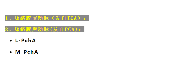 影像PPT - 重要神经结构的血供示意图-16 影像PPT - 重要神经结构的血供示意图-16